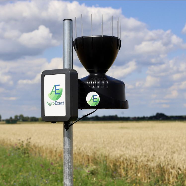 Pluviómetro RainExact en el campo